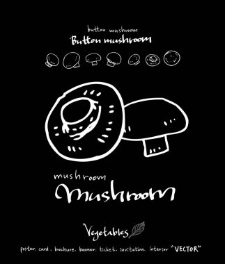 Sebze ve meyve resimler / el çekilmiş gıda maddeleri - vektör