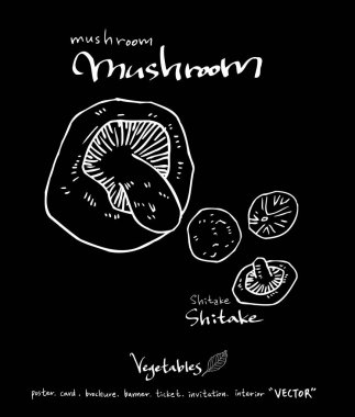 Sebze ve meyve resimler / el çekilmiş gıda maddeleri - vektör