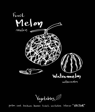 Sebze ve meyve resimler / el çekilmiş gıda maddeleri - vektör