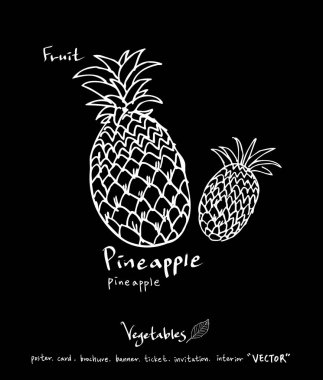 Sebze ve meyve resimler / el çekilmiş gıda maddeleri - vektör