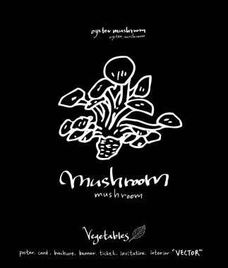 Sebze ve meyve resimler / el çekilmiş gıda maddeleri - vektör