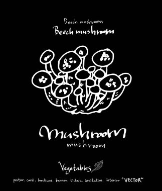 Sebze ve meyve resimler / el çekilmiş gıda maddeleri - vektör