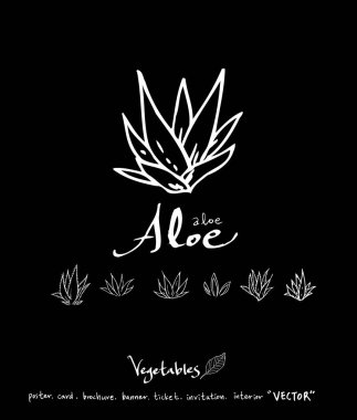 Sebze ve meyve resimler / el çekilmiş gıda maddeleri - vektör