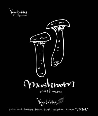 Sebze ve meyve resimler / el çekilmiş gıda maddeleri - vektör