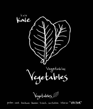 Sebze ve meyve resimler / el çekilmiş gıda maddeleri - vektör