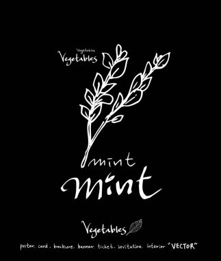 Sebze ve meyve resimler / el çekilmiş gıda maddeleri - vektör