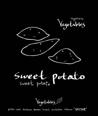 Sebze ve meyve resimler / el çekilmiş gıda maddeleri - vektör