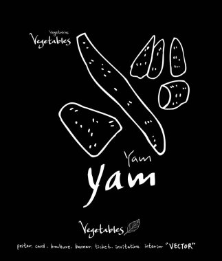 Sebze ve meyve resimler / el çekilmiş gıda maddeleri - vektör