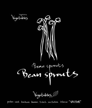 Sebze ve meyve resimler / el çekilmiş gıda maddeleri - vektör