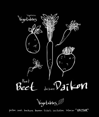 Sebze ve meyve resimler / el çekilmiş gıda maddeleri - vektör