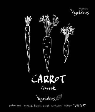 Sebze ve meyve resimler / el çekilmiş gıda maddeleri - vektör