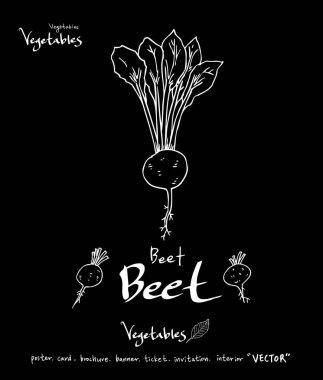 Sebze ve meyve resimler / el çekilmiş gıda maddeleri - vektör