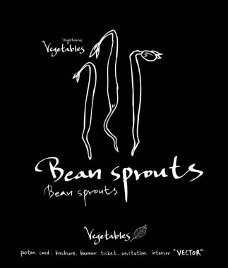 Sebze ve meyve resimler / el çekilmiş gıda maddeleri - vektör