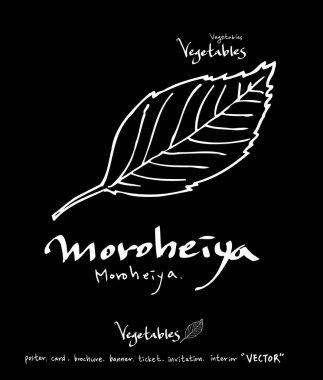 Sebze ve meyve resimler / el çekilmiş gıda maddeleri - vektör