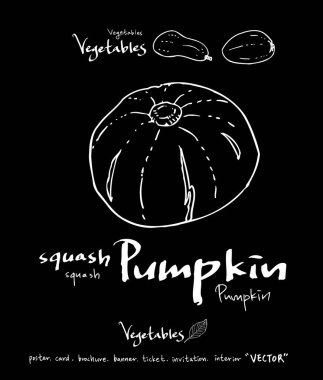 Sebze ve meyve resimler / el çekilmiş gıda maddeleri - vektör