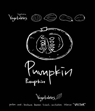 Sebze ve meyve resimler / el çekilmiş gıda maddeleri - vektör