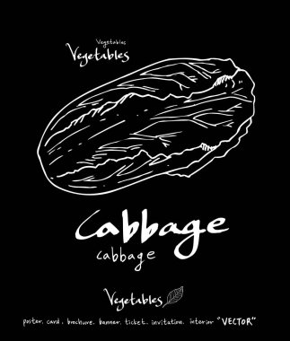 Sebze ve meyve resimler / el çekilmiş gıda maddeleri - vektör