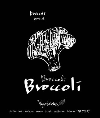 Sebze ve meyve resimler / el çekilmiş gıda maddeleri - vektör