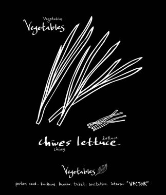 Sebze ve meyve resimler / el çekilmiş gıda maddeleri - vektör