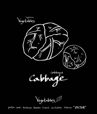 Sebze ve meyve resimler / el çekilmiş gıda maddeleri - vektör