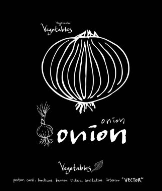 Sebze ve meyve resimler / el çekilmiş gıda maddeleri - vektör