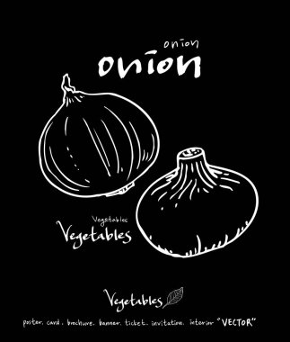 Sebze ve meyve resimler / el çekilmiş gıda maddeleri - vektör