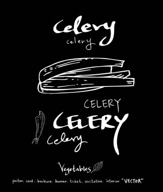 Sebze ve meyve resimler / el çekilmiş gıda maddeleri - vektör