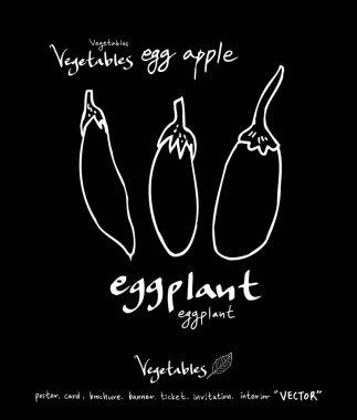 Sebze ve meyve resimler / el çekilmiş gıda maddeleri - vektör