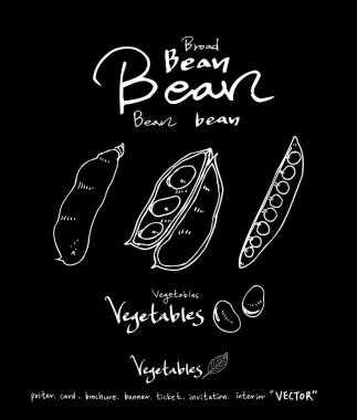 Sebze ve meyve resimler / el çekilmiş gıda maddeleri - vektör