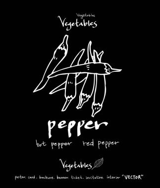 Sebze ve meyve resimler / el çekilmiş gıda maddeleri - vektör