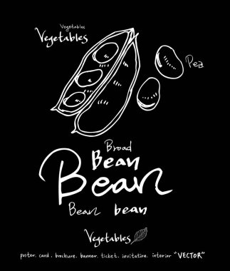 Sebze ve meyve resimler / el çekilmiş gıda maddeleri - vektör