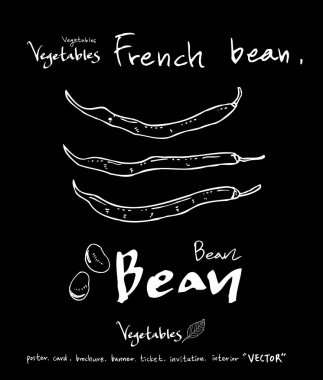 Sebze ve meyve resimler / el çekilmiş gıda maddeleri - vektör