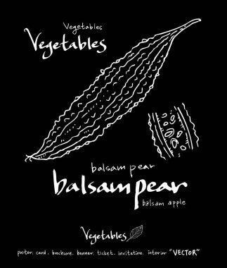 Sebze ve meyve resimler / el çekilmiş gıda maddeleri - vektör