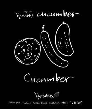 Sebze ve meyve resimler / el çekilmiş gıda maddeleri - vektör