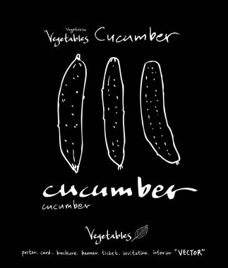 Sebze ve meyve resimler / el çekilmiş gıda maddeleri - vektör