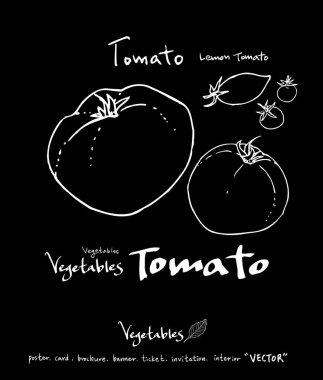 Sebze ve meyve resimler / el çekilmiş gıda maddeleri - vektör