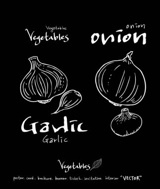 Sebze ve meyve resimler / el çekilmiş gıda maddeleri - vektör