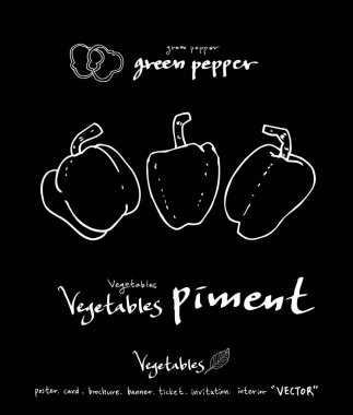 Sebze ve meyve resimler / el çekilmiş gıda maddeleri - vektör