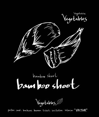 Sebze ve meyve resimler / el çekilmiş gıda maddeleri - vektör