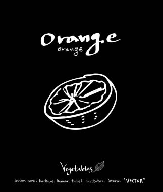 Sebze ve meyve resimler / el çekilmiş gıda maddeleri - vektör