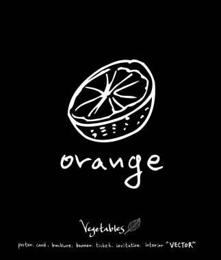 Sebze ve meyve resimler / el çekilmiş gıda maddeleri - vektör