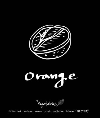 Sebze ve meyve resimler / el çekilmiş gıda maddeleri - vektör