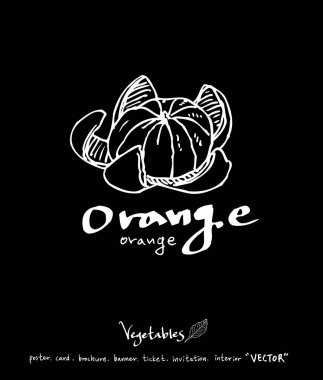 Sebze ve meyve resimler / el çekilmiş gıda maddeleri - vektör