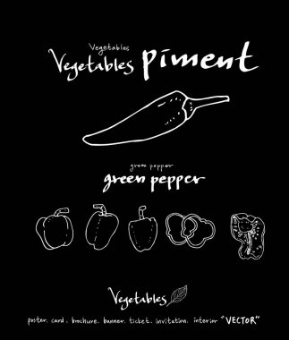 Sebze ve meyve resimler / el çekilmiş gıda maddeleri - vektör