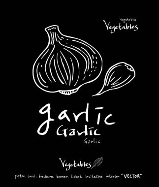 Sebze ve meyve resimler / el çekilmiş gıda maddeleri - vektör