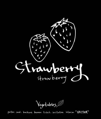 Sebze ve meyve resimler / el çekilmiş gıda maddeleri - vektör