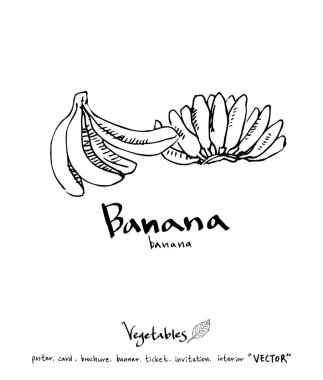 Sebze ve meyve resimler / el çekilmiş gıda maddeleri - vektör