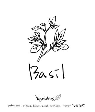 Sebze ve meyve resimler / el çekilmiş gıda maddeleri - vektör