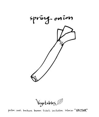 Sebze ve meyve resimler / el çekilmiş gıda maddeleri - vektör