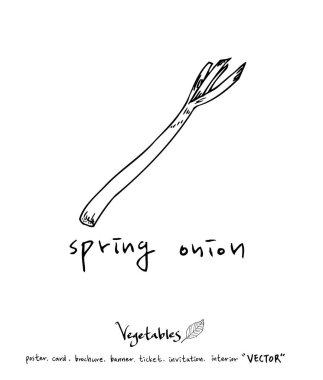 Sebze ve meyve resimler / el çekilmiş gıda maddeleri - vektör